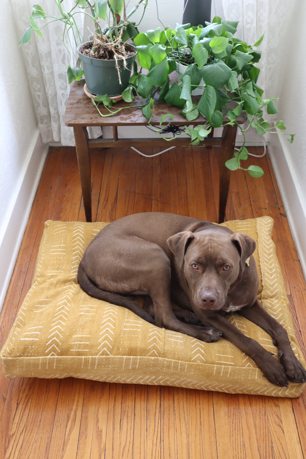 XL Dog Bed Multi-Pattern on Mustard Bogolan Mudcloth.